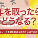 インプラントは年を取ったらどうなる？寿命を縮める原因と延ばす方法等を解説